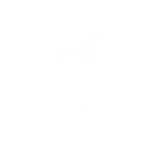 logo-future-sync